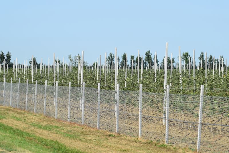 Agricultural Fencing