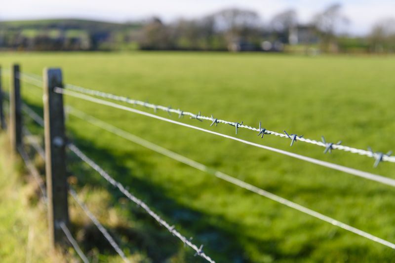 Agricultural Fencing
