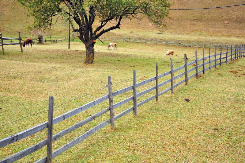 Agricultural Fencing